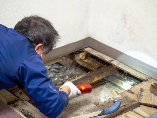 Best Bathroom Mold Remediation in Hobart, OK
