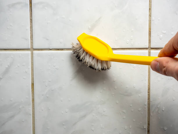 Best Kitchen Mold Remediation in Hobart, OK
