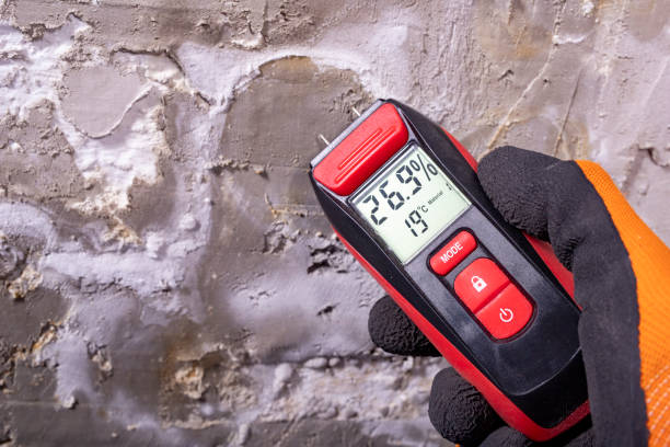 Best Preventive Mold Services in Hobart, OK
