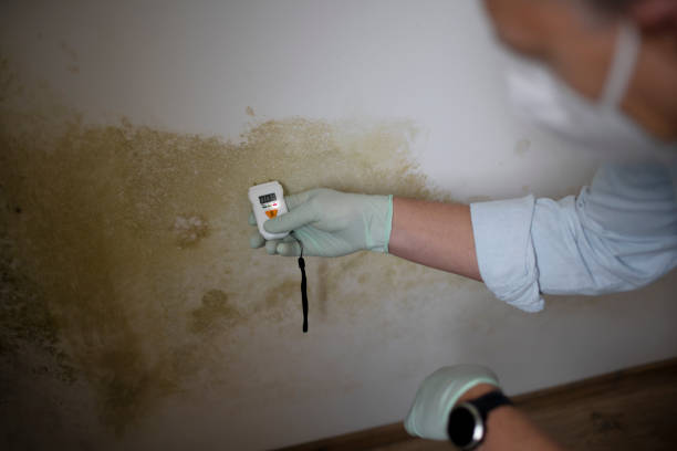 Best HVAC Mold Remediation in Hobart, OK