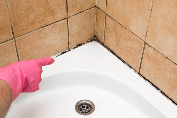 Best Residential Mold Remediation in Hobart, OK